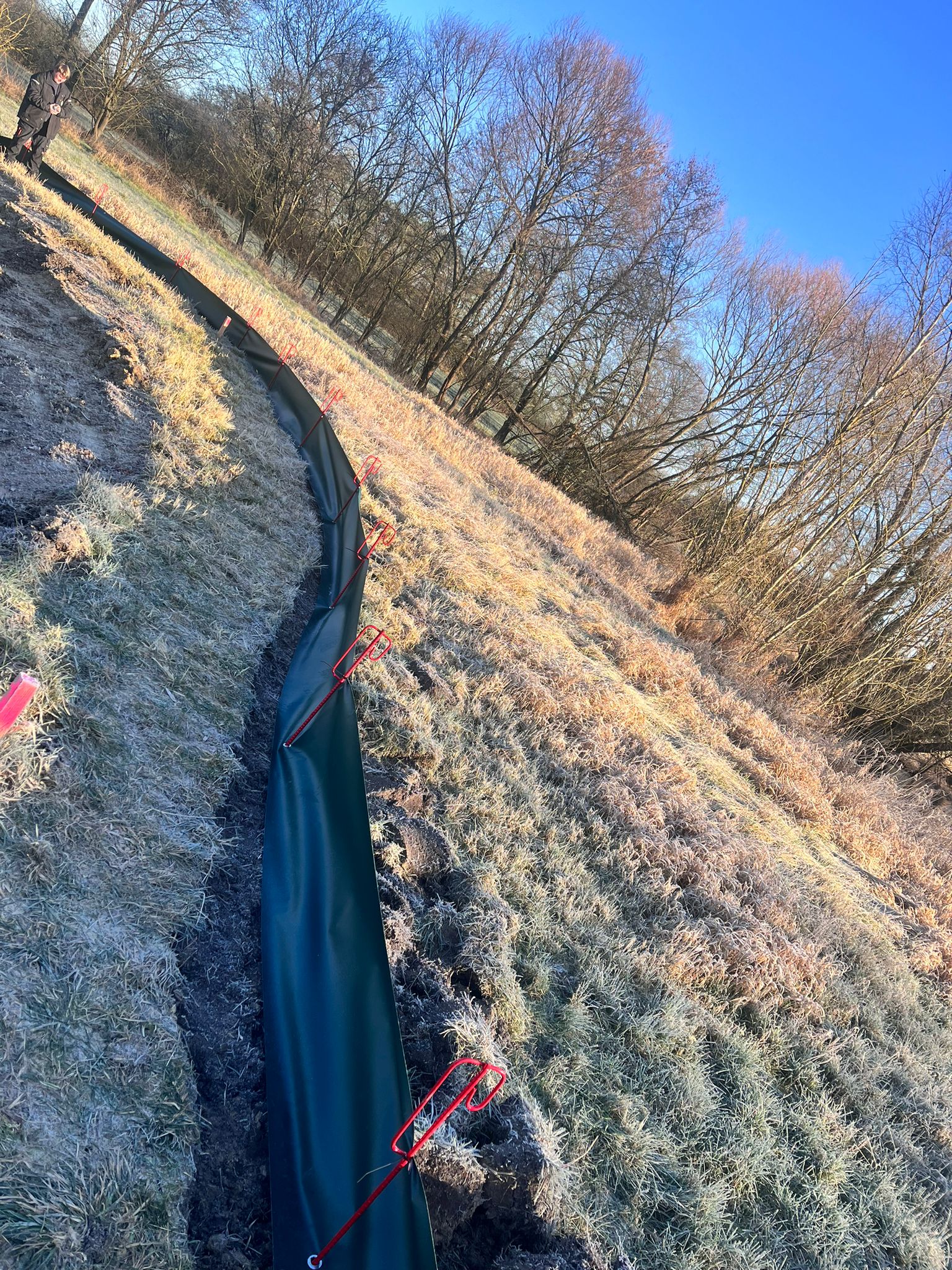 Reptilienschutzzaun errichten